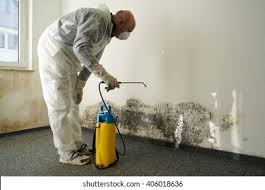 Best Water Damage & Mold Remediation  in Hlside, IL